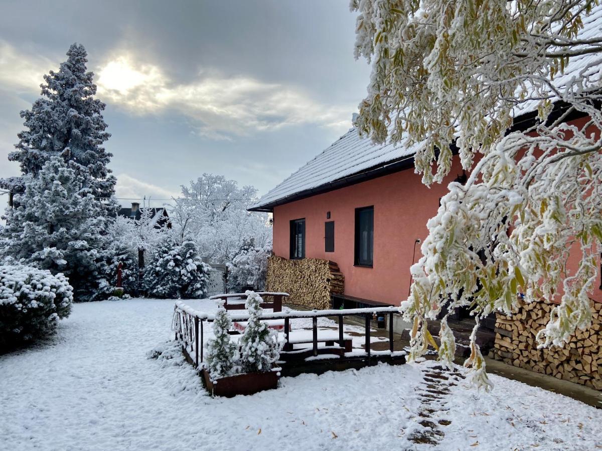 Hostal Libling Ruzovy Banská Štiavnica Exterior foto